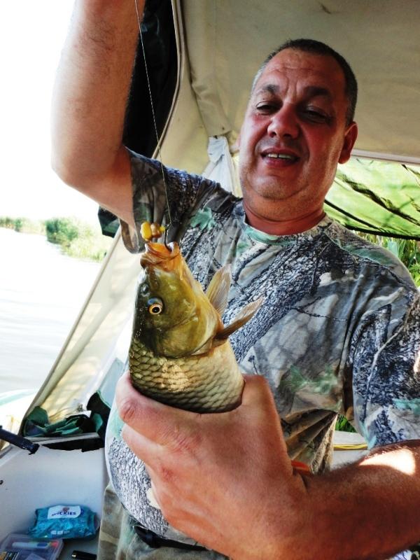 Delta iunie 2013 - dsc09831.JPG